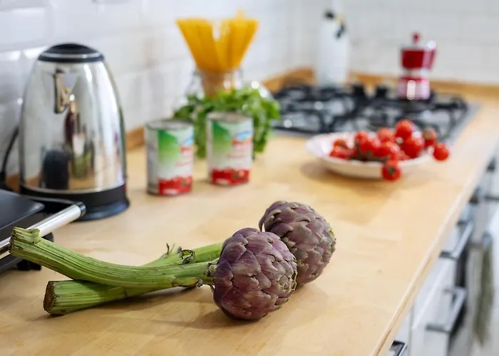 Big Terrace Apartment